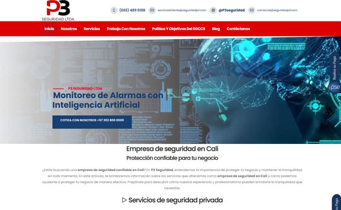paginas web Seguridadp3